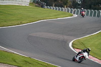 Lower Group White Bikes